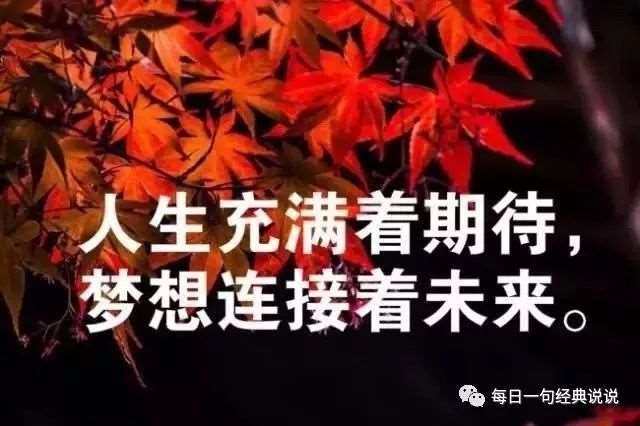 痛到心碎的说说句子,受过伤的人才能体会