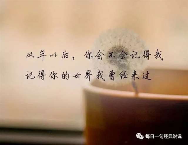 痛到心碎的说说句子,受过伤的人才能体会