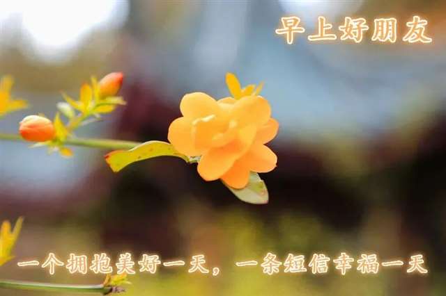 抖音早安语录干净好听 ,最受欢迎的早安说说,最正能量的早安心语句子!