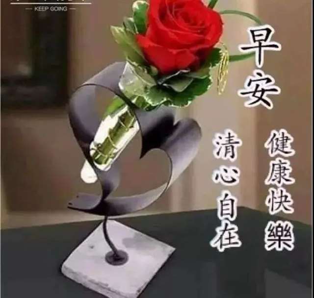 抖音早安语录干净好听 ,最受欢迎的早安说说,最正能量的早安心语句子!
