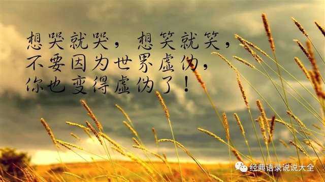 朋友圈的伤感语录,句句虐心,看完你哭了吗?