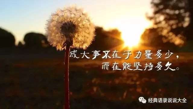 朋友圈的伤感语录,句句虐心,看完你哭了吗?