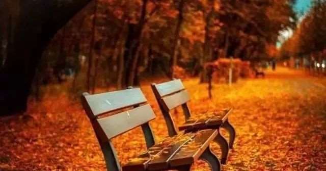 被背叛时发的说说