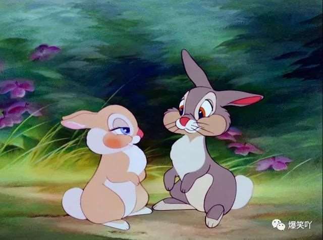 幽默开心的说说心情短语,你能坚持到第几句不笑出声?