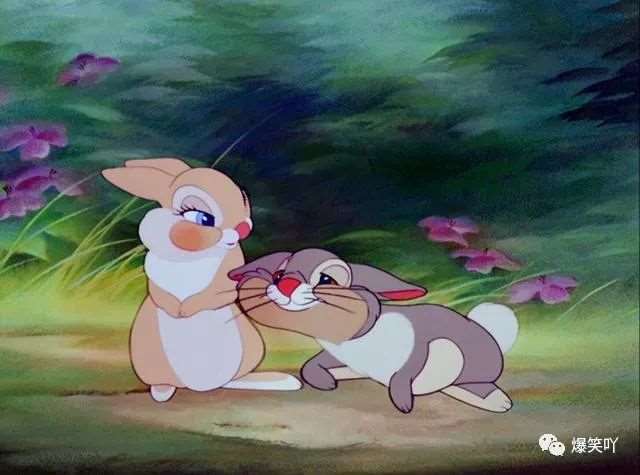 幽默开心的说说心情短语,你能坚持到第几句不笑出声?