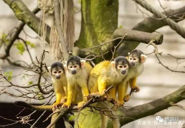 注定分手的4星座配对,互相欺骗和背叛