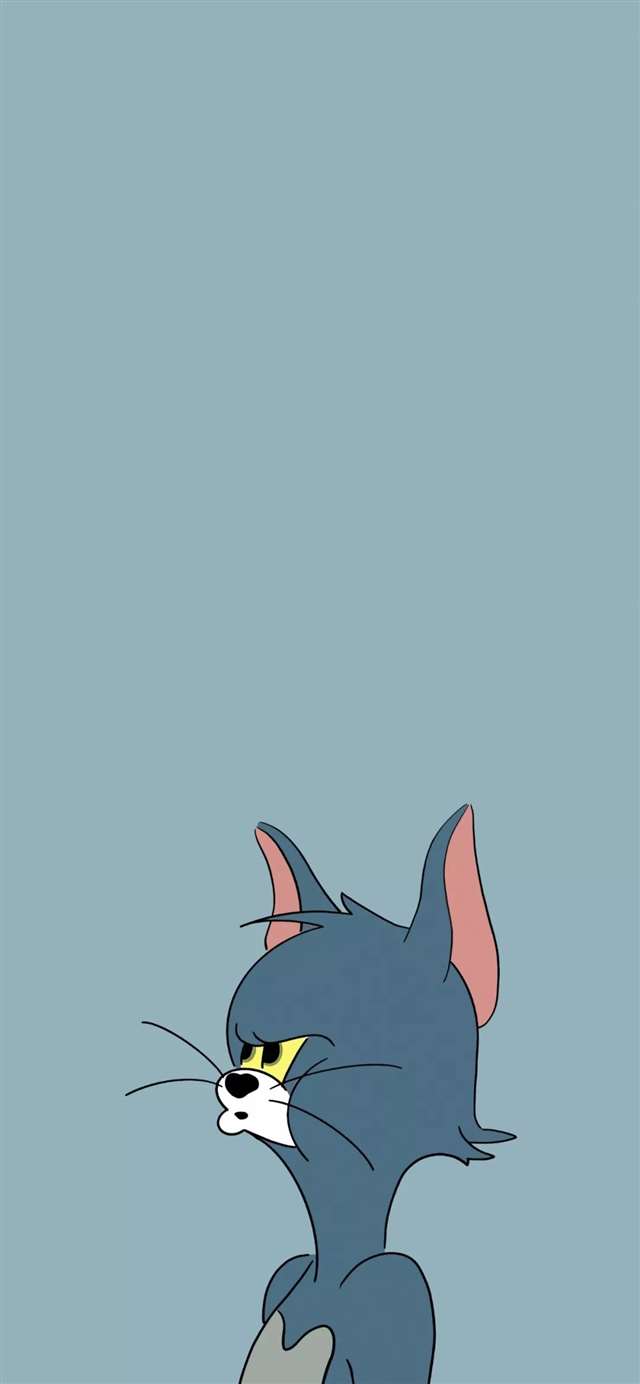 壁纸 | 卑微的讨好别人,只会换来别人的无视.平等的对待,才能换来真正的尊重,你的善良,必须带点儿锋芒.