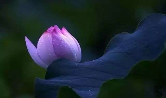 做人无愧于心，做事无愧于人