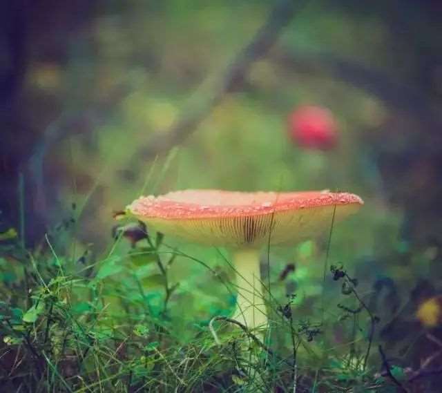 做人无愧于心，做事无愧于人