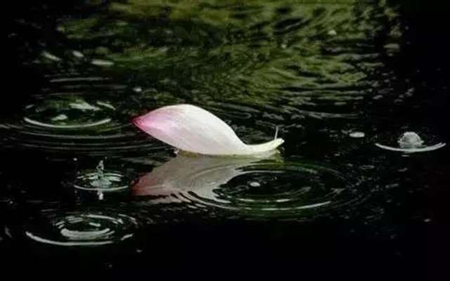 做人无愧于心，做事无愧于人