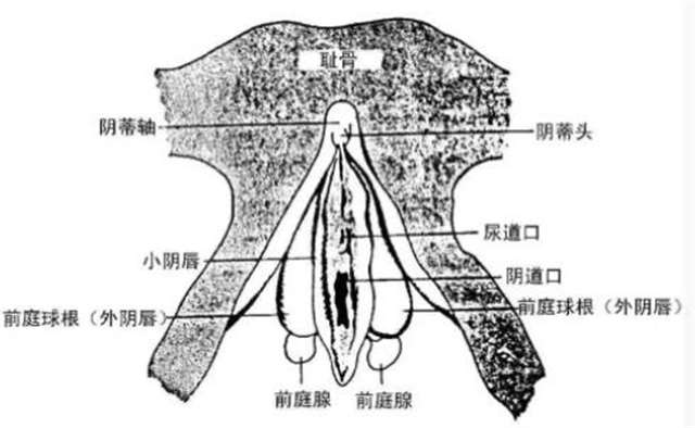 老公又小又短要崩溃了 老公那个很短怎么办