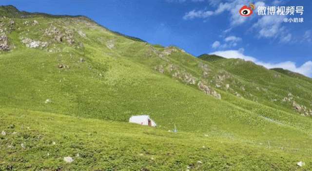 被几个人带了一个无人的地方 被客人玩得走不了路的经过