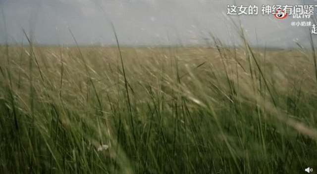 被几个人带了一个无人的地方 被客人玩得走不了路的经过