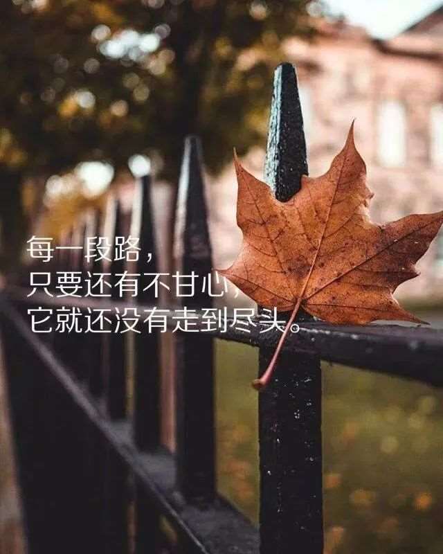 朋友圈说透人心的句子