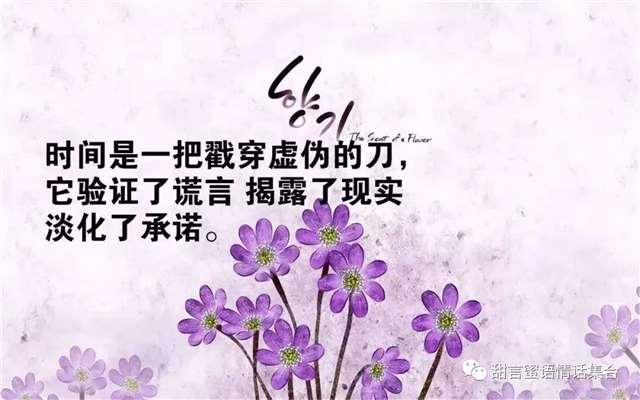 适合群发朋友圈,看透人间冷暖的句子的精辟感悟短信,句句走心,字字犀利!