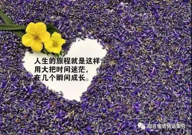 适合群发朋友圈,看透人间冷暖的句子的精辟感悟短信,句句走心,字字犀利!