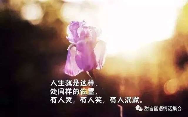 适合群发朋友圈,看透人间冷暖的句子的精辟感悟短信,句句走心,字字犀利!