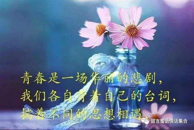 适合群发朋友圈,看透人间冷暖的句子的精辟感悟短信,句句走心,字字犀利!