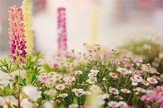 适合发朋友圈的经典句子,洞察人心,读完直呼精彩