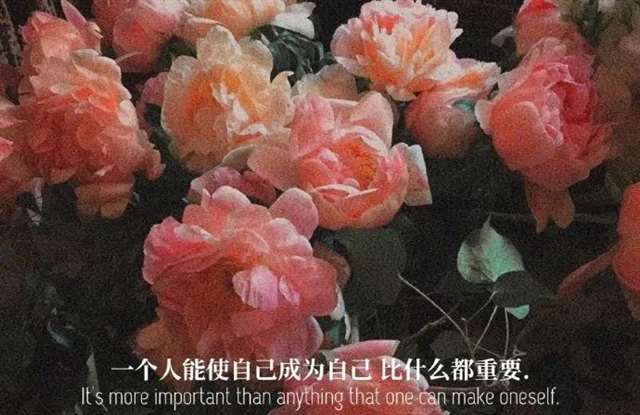 晚上想感性的事儿