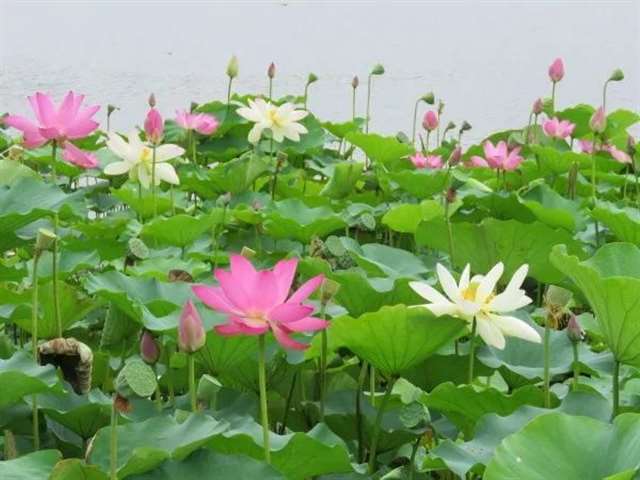 为了生活人们四处奔波