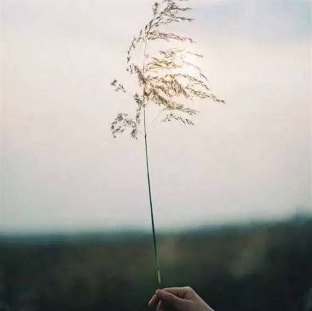 致自己:挺住   (给所有为了生活四处奔波的朋友)