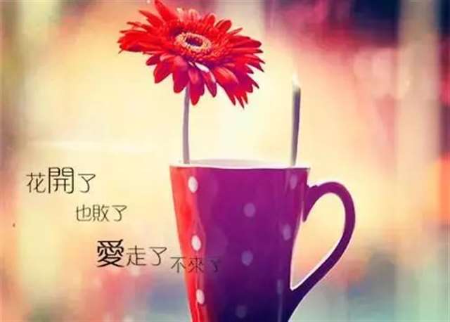 经典说说:爱情就像沙漏,心满了,脑子就空了