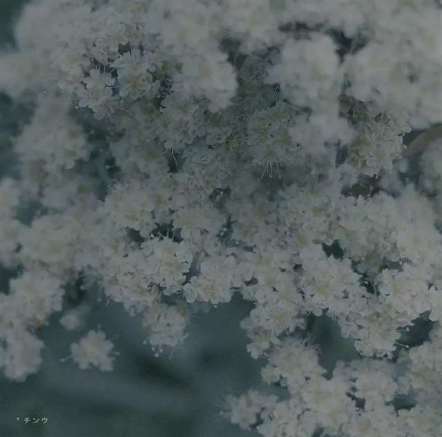 记录美好生活的文案