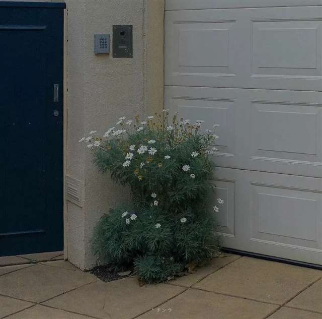 记录美好生活的文案