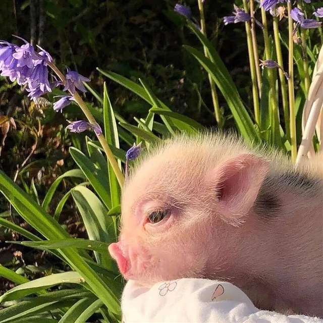 文案 | 日常美好生活的温暖句子