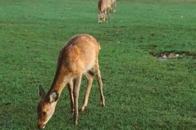 风景文案丨陪你看风景的人,比风景更温柔