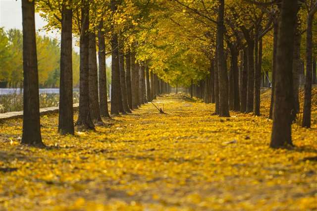 初冬桂林,探寻落日余晖和你