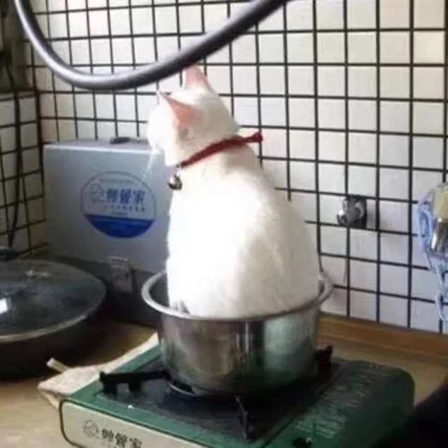 情侣头像 | 小众又浪漫的情侣网名