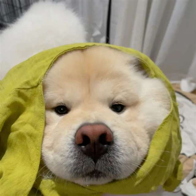 好玩的情侣头像,了解一下