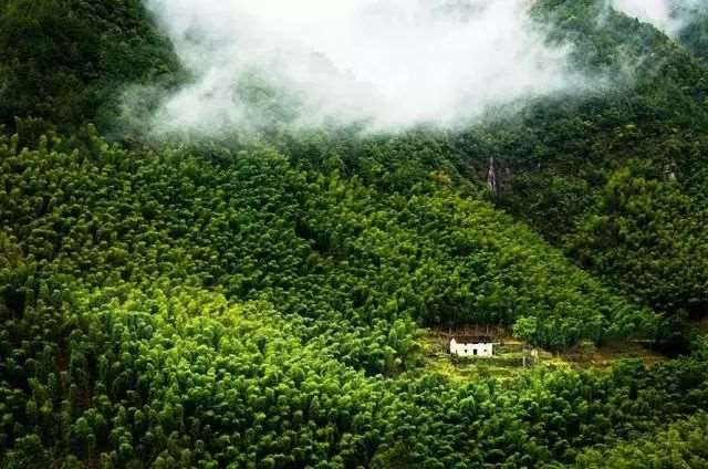 和心爱的人一起,把日子过成诗