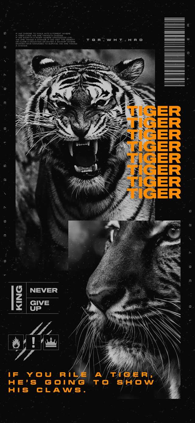 一组抖音最火壁纸!