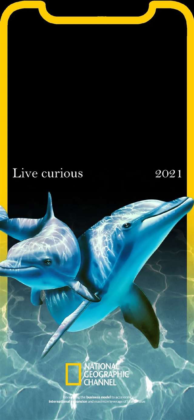 一组抖音最火壁纸!