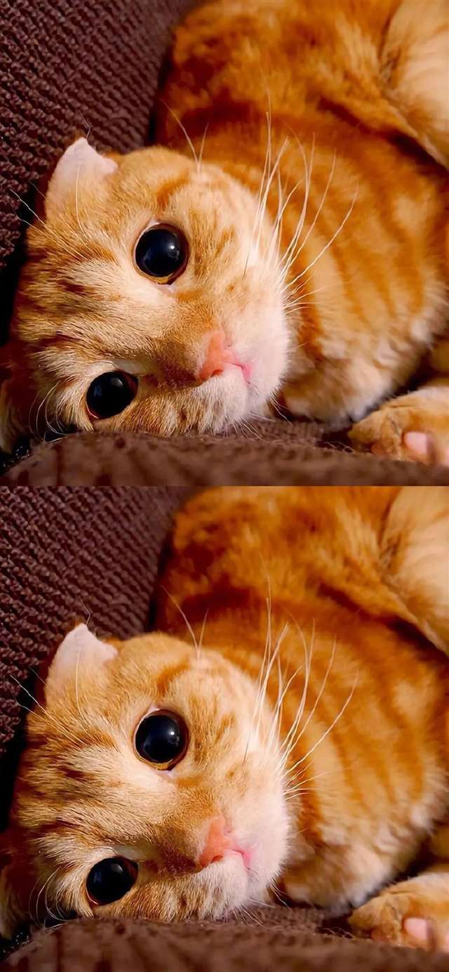 一组抖音最火壁纸!