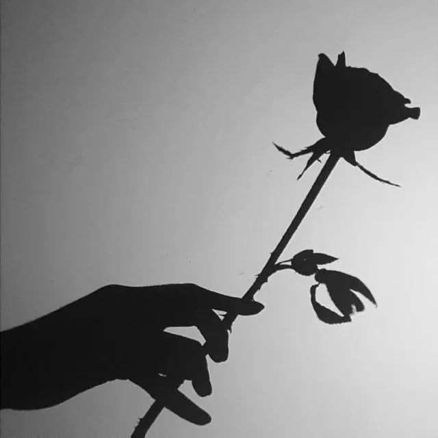 抖音最火备忘录截图文案