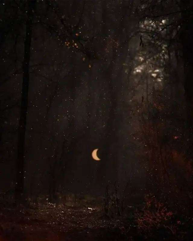 分享那些仙到爆炸的日系网名id.