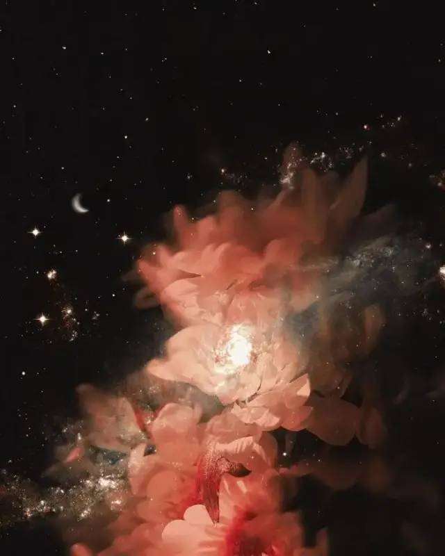 分享那些仙到爆炸的日系网名id.