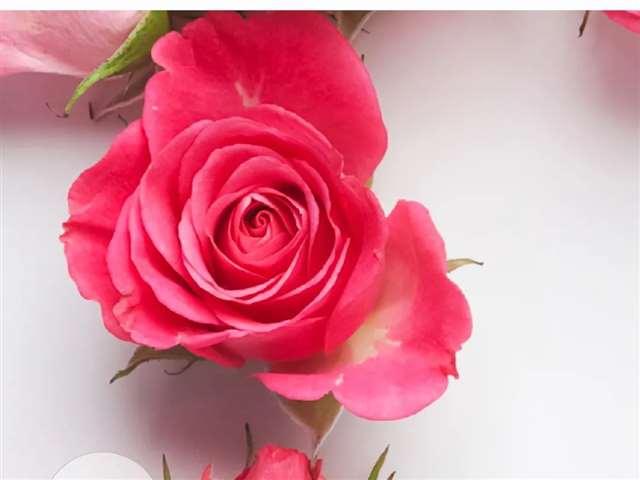 男人眼里最有味道的,是哪个年龄段的女人