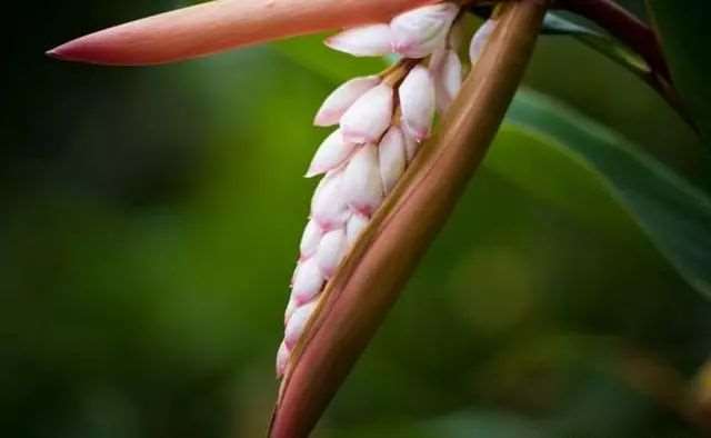 人生过半一事无成?看懂鬼谷子的这四句话,可以重拾信心