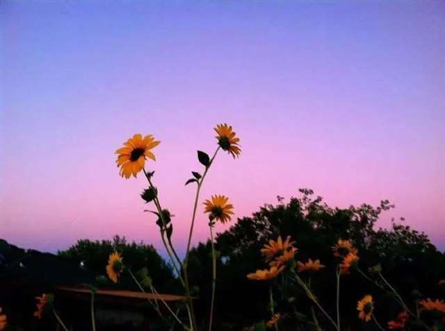 人生感悟:致自己!(精辟)