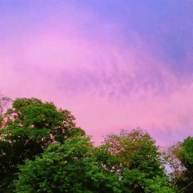 人生感悟:致自己!(精辟)