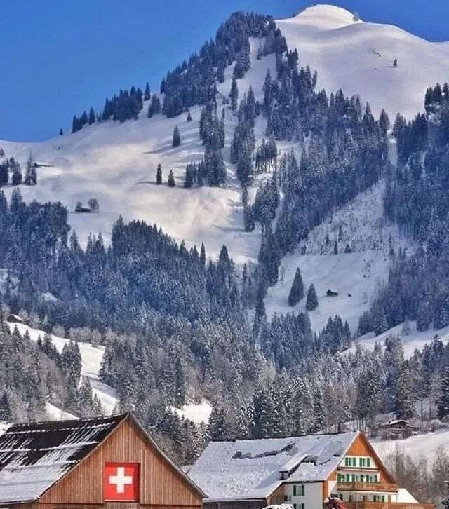 精辟的一句话早安心情语录,满腔热血,一身傲骨不服输!