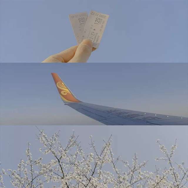 女人发抖音必火的句子