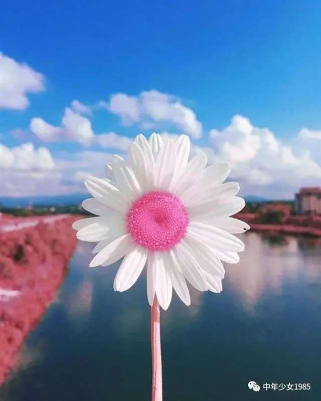 女人与岁月的唯美句子