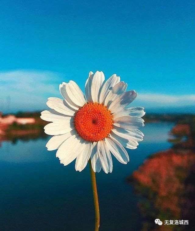 越看越入迷的人生感悟句子,发朋友圈引人深思!