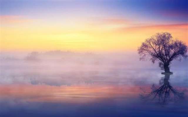 用白驹过隙发朋友圈